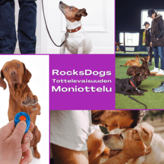 Tottelevaisuuden moniottelu Toukokuu