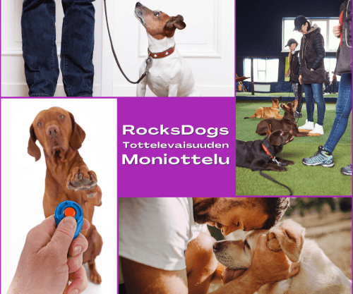 Tottelevaisuuden moniottelu Toukokuu