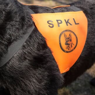 Viralliset PK-tunnusvaljaat